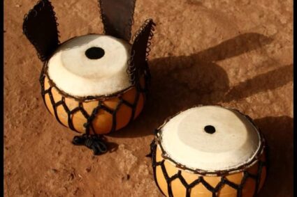 Chronique sur les Instruments Traditionnels de Musique en Afrique